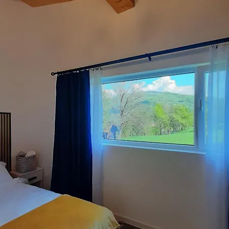 Casa Noua Vişeu de Sus