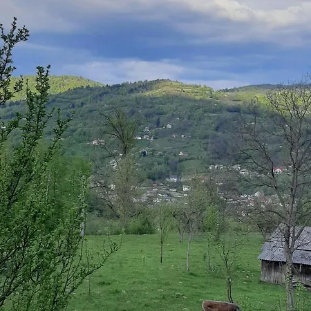 Casa Noua Oda ve Kahvaltı *