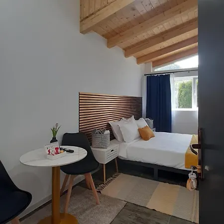 Casa Noua Vişeu de Sus