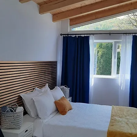 Casa Noua