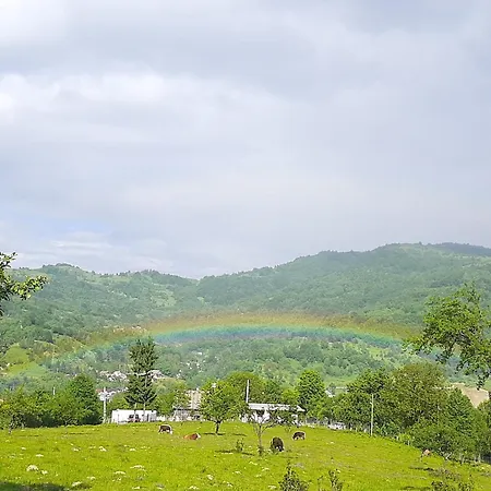 Oda ve Kahvaltı Casa Noua